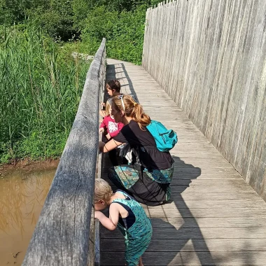 La découverte du marais d'orx et de sa faune et flore protégée dès le plus jeune âge